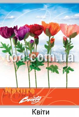,  ., 80., 148*203