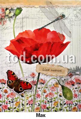 ,  ., 80., , 173*236