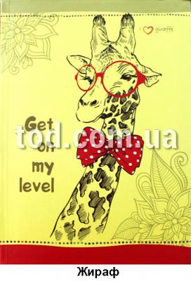 ,  ., 80., , 173*236