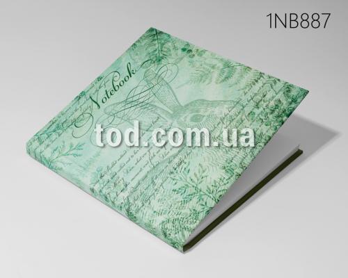 ,  ., 80., 198*201