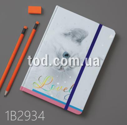 -, 5,  , 80 ., . ., -,  ., 120/2,  